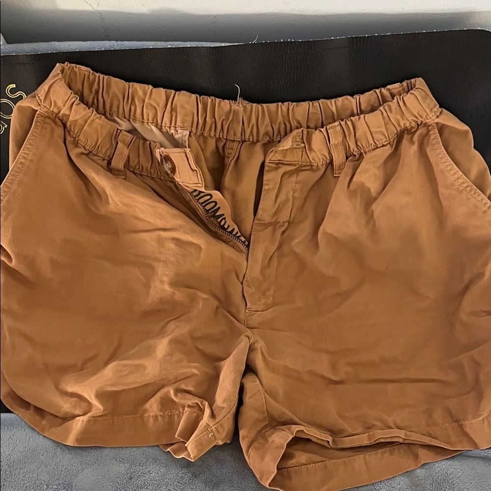 Chubbies Men's Brown Flat Front Shorts
